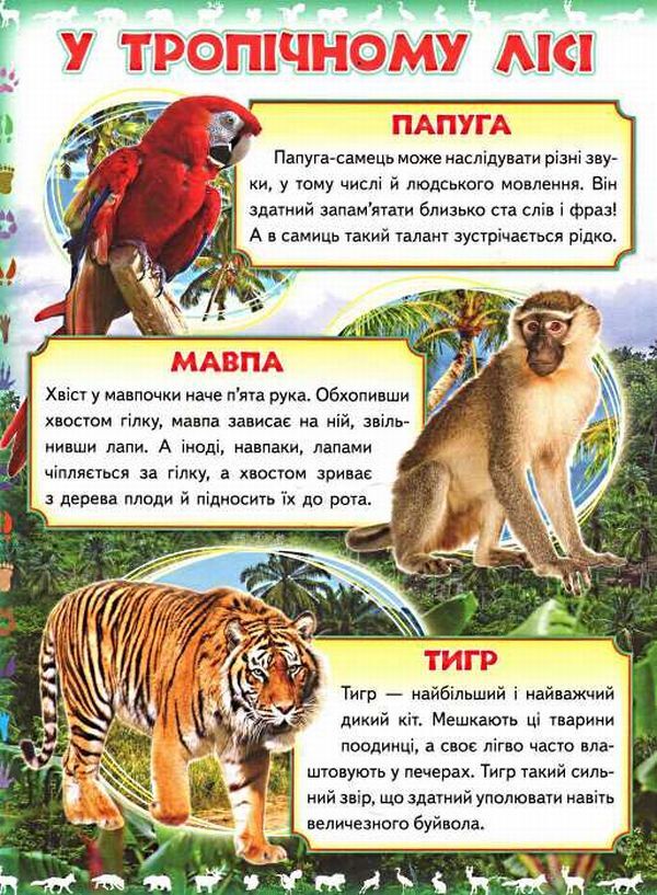 My first book.About wild animals / Моя перша книга. Про диких тварин  9789669135315-4