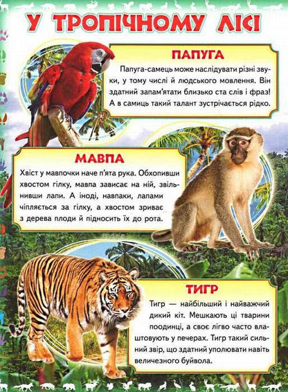My first book.About wild animals / Моя перша книга. Про диких тварин  9789669135315-4