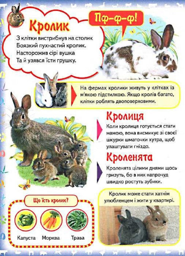 My first book. About domestic animals / Моя перша книга. Про свійських тварин  978-9-669135-29-2-4