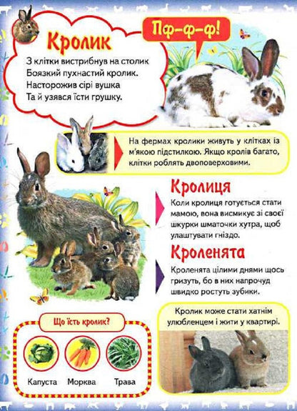 My first book. About domestic animals / Моя перша книга. Про свійських тварин  978-9-669135-29-2-4