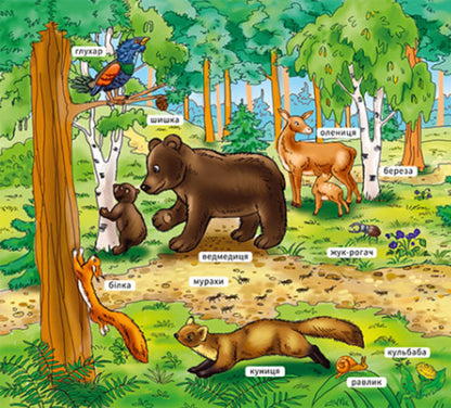 My first dictionary. In the forest / Мій перший словничок. У лісі  9789667510749-2