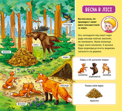 My first dictionary. In the forest / Мій перший словничок. У лісі  9789667510749-3