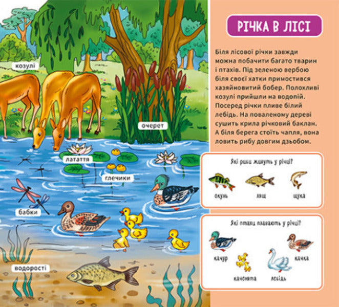 My first dictionary. In the forest / Мій перший словничок. У лісі  9789667510749-5