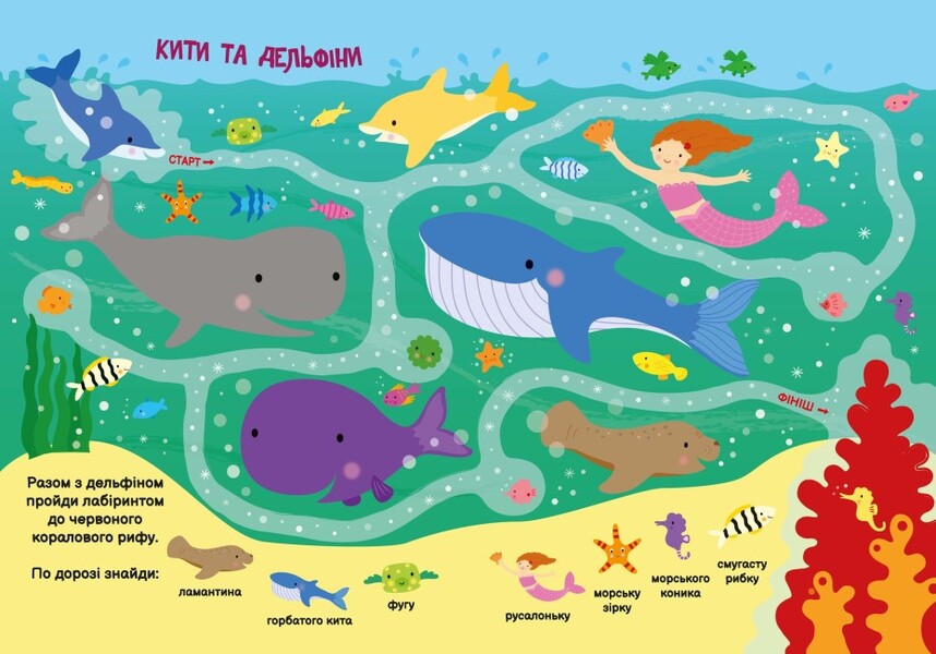 My first finder-helper.Underwater world / Моя перша шукайка-помічайка. Підводний світ Джо Мун 9789667511517-3