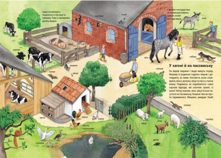 My first illustrated encyclopedia.Animals / Моя перша мальована енциклопедія. Тварини Сюзанне Генхойзер 978-617-09-3425-3-3