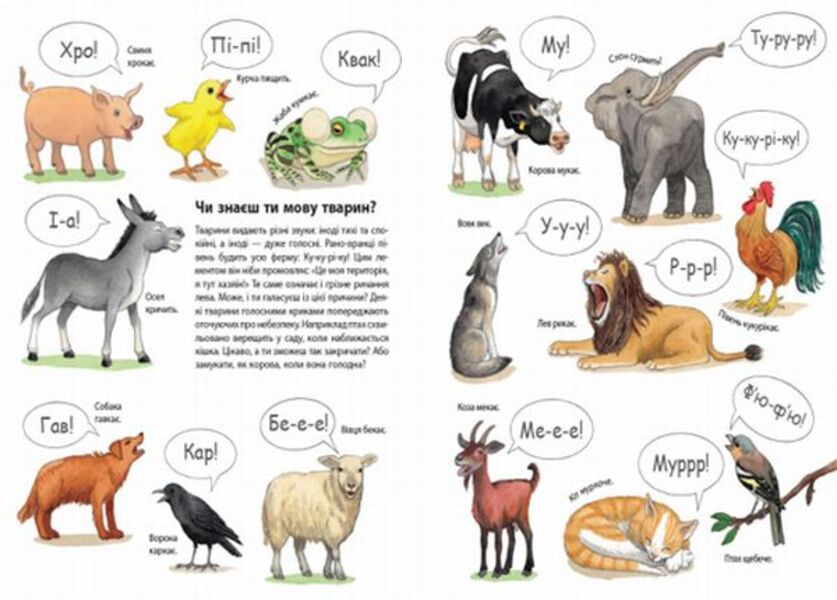My first illustrated encyclopedia.Animals / Моя перша мальована енциклопедія. Тварини Сюзанне Генхойзер 978-617-09-3425-3-5