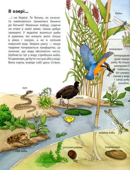 My first illustrated encyclopedia.Animals / Моя перша мальована енциклопедія. Тварини Сюзанне Генхойзер 978-617-09-3425-3-6
