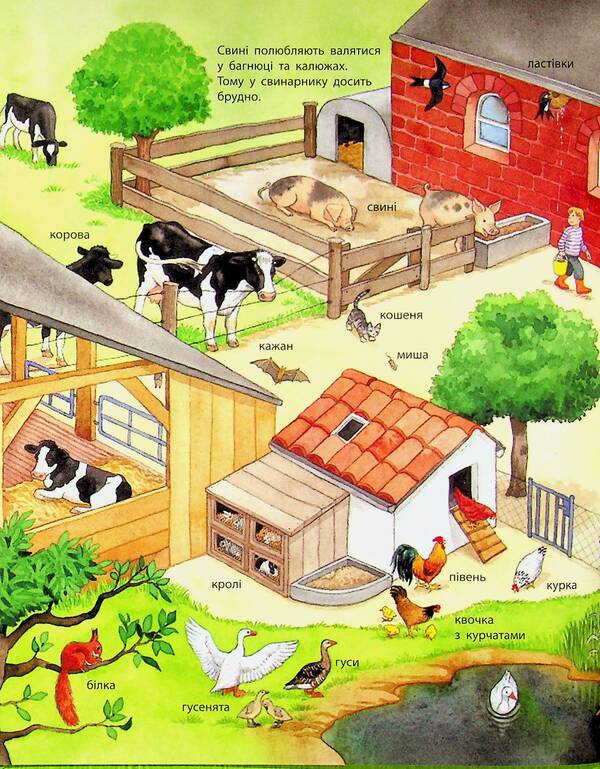 My first illustrated encyclopedia. Animals / Моя перша мальована енциклопедія. Тварини Сюзанне Генхойзер 978-617-09-9958-0-3