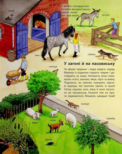 My first illustrated encyclopedia. Animals / Моя перша мальована енциклопедія. Тварини Сюзанне Генхойзер 978-617-09-9958-0-4