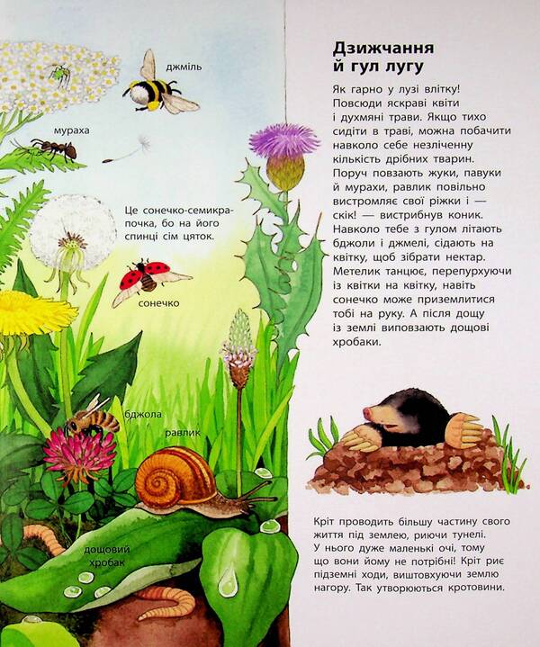 My first illustrated encyclopedia. Animals / Моя перша мальована енциклопедія. Тварини Сюзанне Генхойзер 978-617-09-9958-0-6