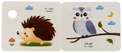 My folding book. In the forest / Моя книжка-розкладайка. У лісі  9789667511869-5