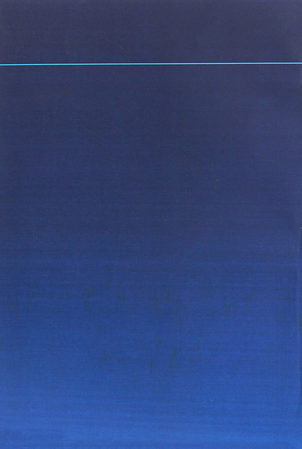 Myeloperoxidase deficiency of phagocytes. Monograph / Дефіцит мієлопероксидази фагоцитів. Монографія Дмитрий Мальцев 978-611-01-1887-3-2