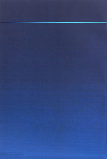 Myeloperoxidase deficiency of phagocytes. Monograph / Дефіцит мієлопероксидази фагоцитів. Монографія Дмитрий Мальцев 978-611-01-1887-3-2