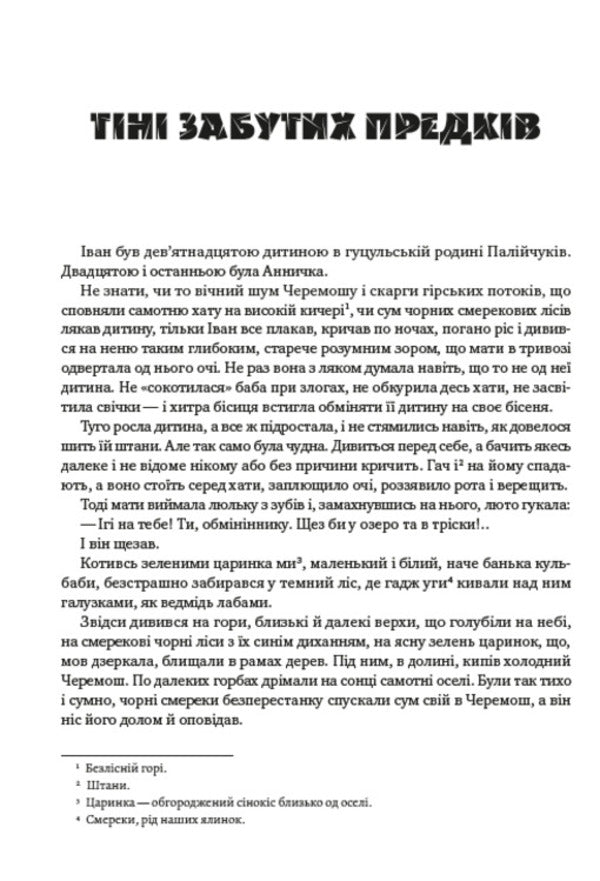 Mykhailo Kotsyubynskyi. Selected works. Shadows of Forgotten Ancestors. Dearly. Fata Morgana. Intermezzo / Михайло Коцюбинський. Вибрані твори. Тіні забутих предків. Дорогою ціною. Fata Morgana. Intermezzo Михаил Коцюбинский 978-088-0000-73-4-3