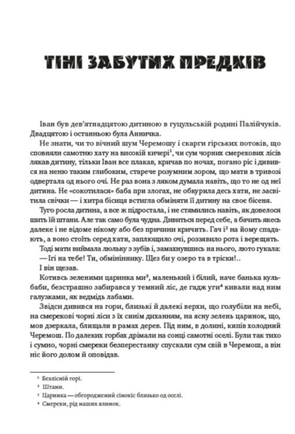 Mykhailo Kotsyubynskyi. Selected works. Shadows of Forgotten Ancestors. Dearly. Fata Morgana. Intermezzo / Михайло Коцюбинський. Вибрані твори. Тіні забутих предків. Дорогою ціною. Fata Morgana. Intermezzo Михаил Коцюбинский 978-088-0000-73-4-3