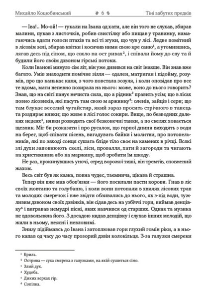 Mykhailo Kotsyubynskyi. Selected works. Shadows of Forgotten Ancestors. Dearly. Fata Morgana. Intermezzo / Михайло Коцюбинський. Вибрані твори. Тіні забутих предків. Дорогою ціною. Fata Morgana. Intermezzo Михаил Коцюбинский 978-088-0000-73-4-4