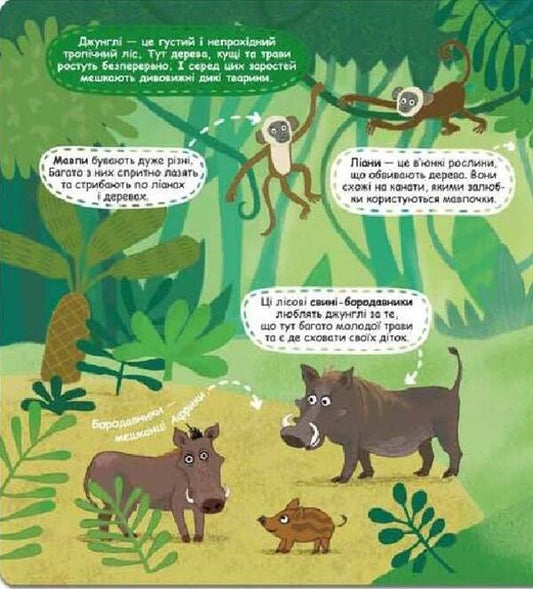 Mysterious jungle and its inhabitants / Загадкові джунглі та їхні мешканці Галина Дерипаско 9789664298589-2