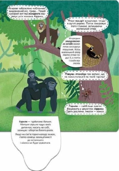 Mysterious jungle and its inhabitants / Загадкові джунглі та їхні мешканці Галина Дерипаско 9789664298589-4
