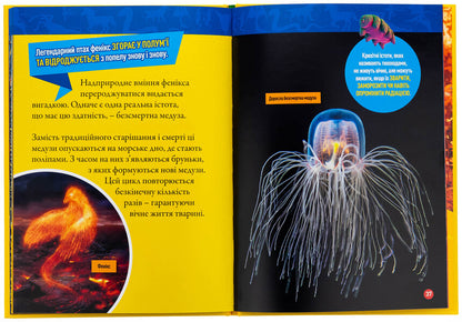 Mythical creatures. 100 facts about mythical creatures and incredible real animals / Міфічні істоти. 100 фактів про міфічних істот і неймовірних реальних тварин Стефани Воррен Дриммер 9786171600812-5