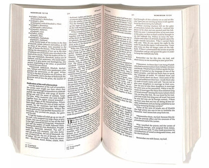 NIV Holy Bible. Anglicised Black Gift And Award New International Version / New International Version 9781444701593-4