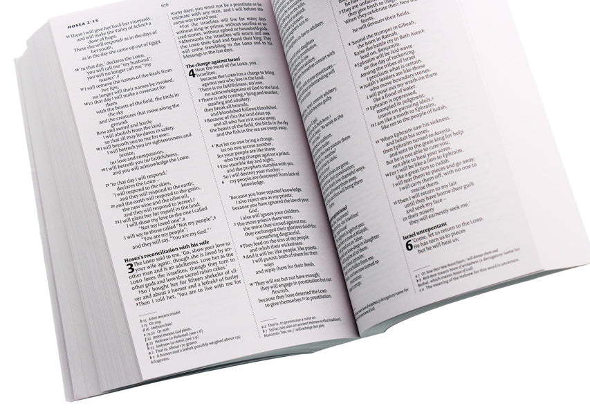 NIV Holy Bible / NIV Holy Bible  978-1-473-61894-7-5