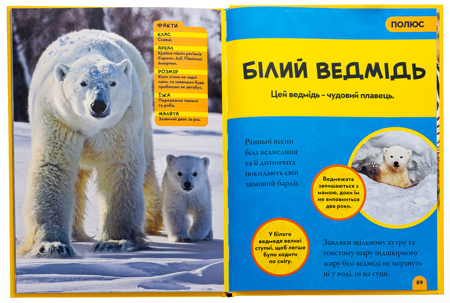 National Geographic. My first encyclopedia. Animals / National Geographic. Моя перша енциклопедія. Тварини Кэтрин Д. Хьюз, Кэтрин Д. Хесс 9789669439963-5