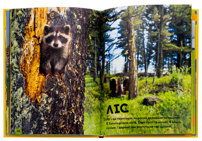 National Geographic. My first encyclopedia. Animals / National Geographic. Моя перша енциклопедія. Тварини Кэтрин Д. Хьюз, Кэтрин Д. Хесс 9789669439963-6