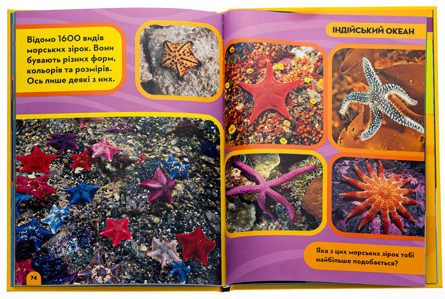 National Geographic. My first encyclopedia. Oceans / National Geographic. Моя перша енциклопедія. Океани Кэтрин Д. Хьюз 9789669439994-5