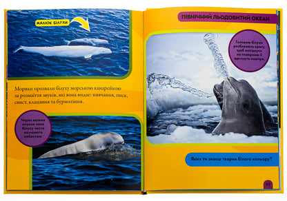 National Geographic. My first encyclopedia. Oceans / National Geographic. Моя перша енциклопедія. Океани Кэтрин Д. Хьюз 9789669439994-6