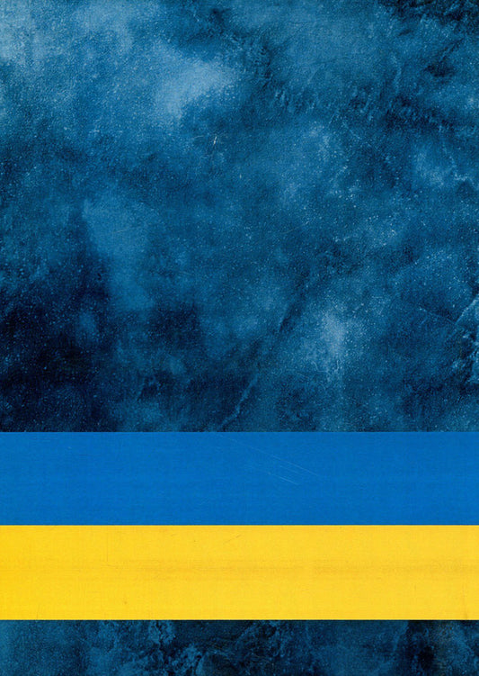 National Police of Ukraine. Organizational and legal support of activity / Національна поліція України. Організаційно-правове забезпечення діяльності Сергей Петков, Иван Иванов, Михаил Лошицкий, Александр Юнин, Виктор Бесчастный, Андрей Фоменко, Александр Коломоец, Алексей Дрозд, Роман Алиев, Юрий Делия, Александр Иляшко, Сергей Комиссаров, Руслан Михайлов, Леонид Могилевский, Николай Панченко 978-617-673-850-3-2