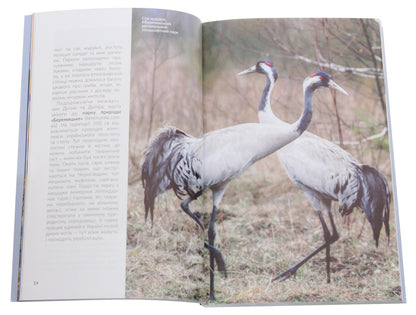 National parks, lakes and reserves of Ukraine. Guidebook / Національні парки, озера та заповідники України. Путівник  978-966-986-247-1-5