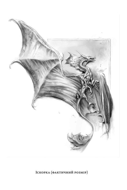 Natural History Of Dragons / Природнича історія драконів Mary Brennan / Марі Бреннан 9786175233269-2