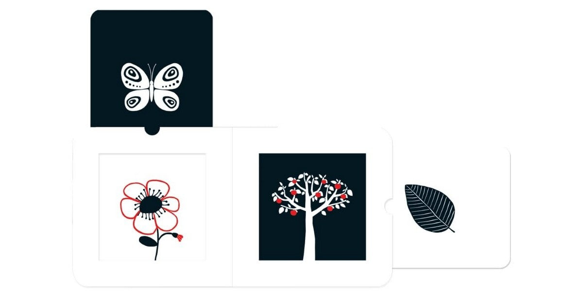 Natural World / Natural World  9781911689010-3