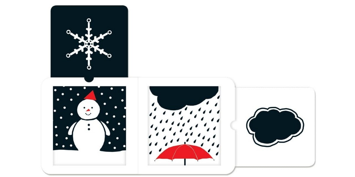 Natural World / Natural World  9781911689010-4