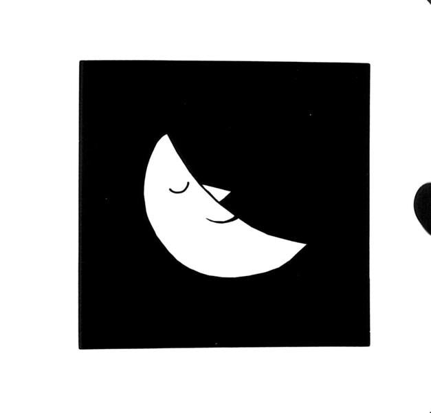 Natural World / Natural World  9781911689010-5