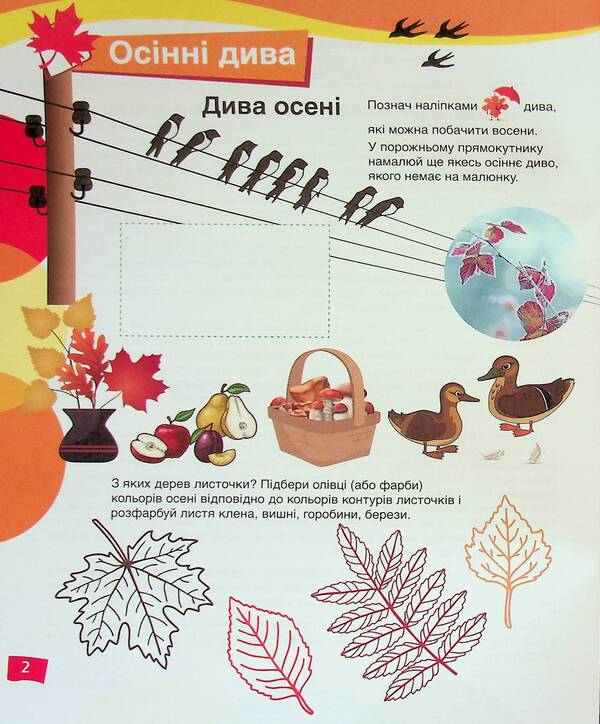 Nature play Getting to know the natural environment (+ stickers) / Природограй. Ознайомлення з природним довкіллям (+ наліпки) Валентина Вертугина 978-966-945-413-3-3