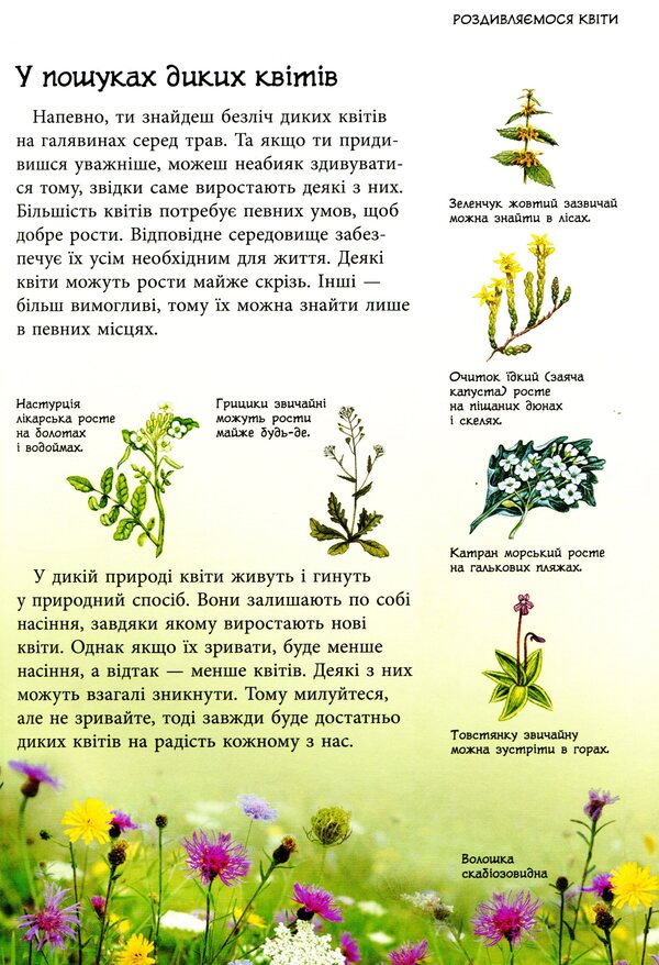 Nature trails. Wild flowers / Стежками природи. Дикі квіти Сара Кан, Кирстин Роджерс 9786170956415-5