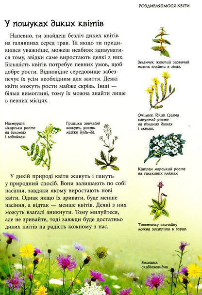 Nature trails. Wild flowers / Стежками природи. Дикі квіти Сара Кан, Кирстин Роджерс 9786170956415-5