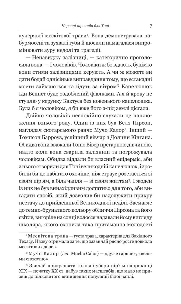 Natureki And Gaps / Безхатьки та Приблуди O. Henry / О. Генрі 9789661062640-5