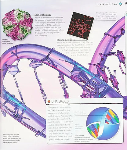 Navigators. Human Body / Navigators. Human Body Миранда Смит 9780753439890-3