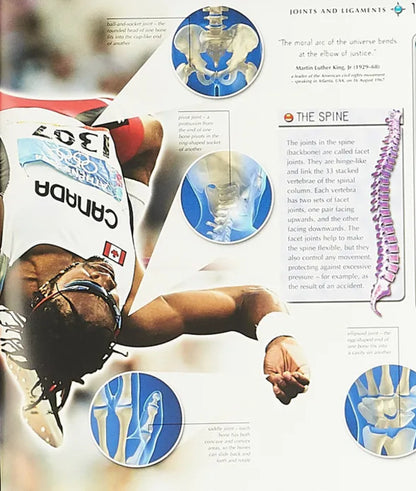 Navigators. Human Body / Navigators. Human Body Миранда Смит 9780753439890-5