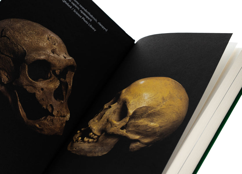 Neanderthal / Неандерталець Swante Paabo / Сванте Паабо 9786179540653-4