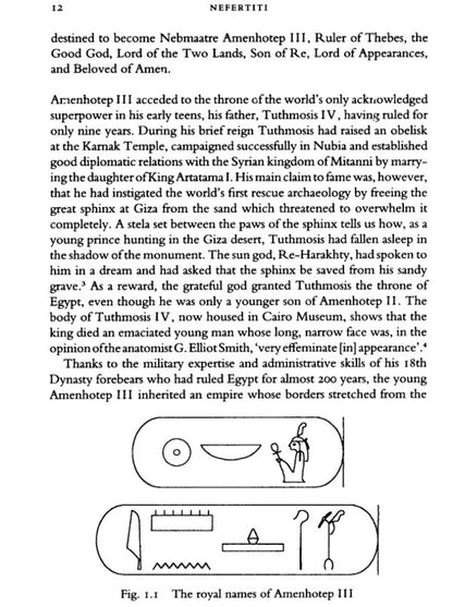 Nefertiti Joyce Tildesley / Джойс Тилдесли 9780141017242-4