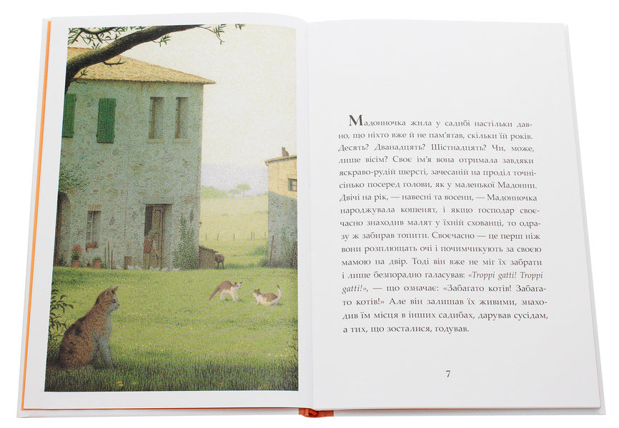 Nero Corleone.The story of one cat / Неро Корлеоне. Історія одного кота Эльке Хайденрайх 978-617-7914-09-8-4