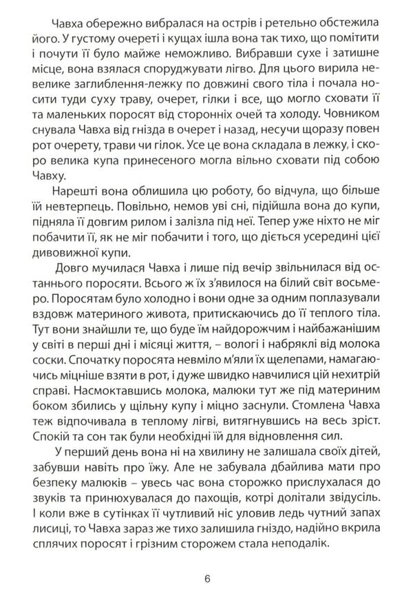 Nest / Рідне гніздо Николай Белоус 978-966-279-077-1-5