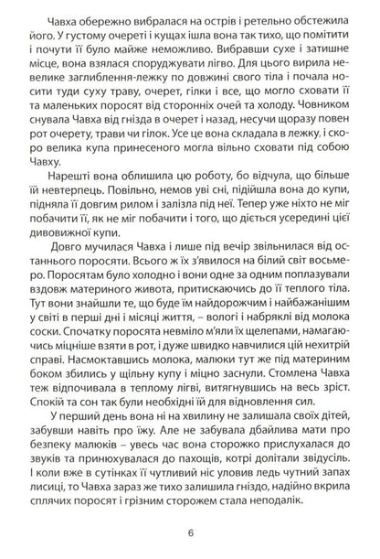Nest / Рідне гніздо Николай Белоус 978-966-279-077-1-5