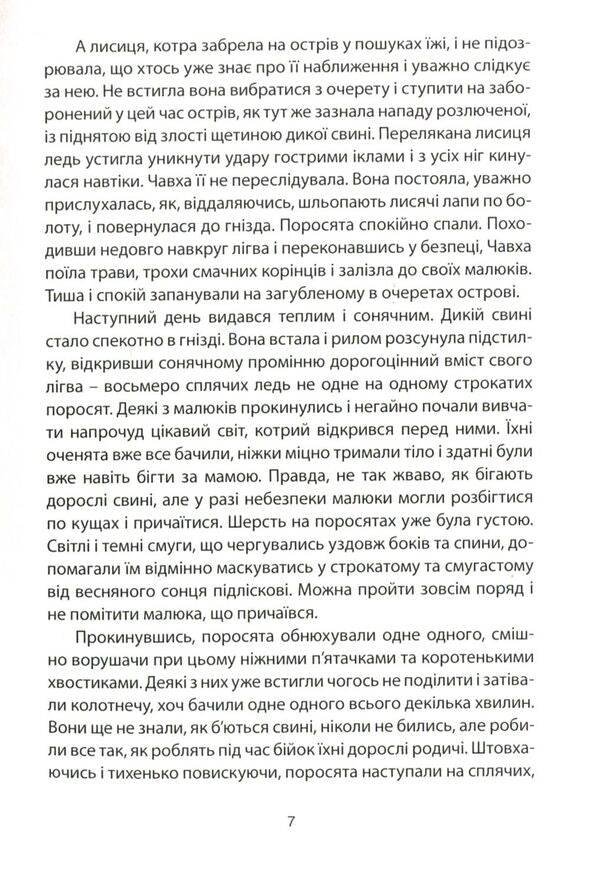 Nest / Рідне гніздо Николай Белоус 978-966-279-077-1-6