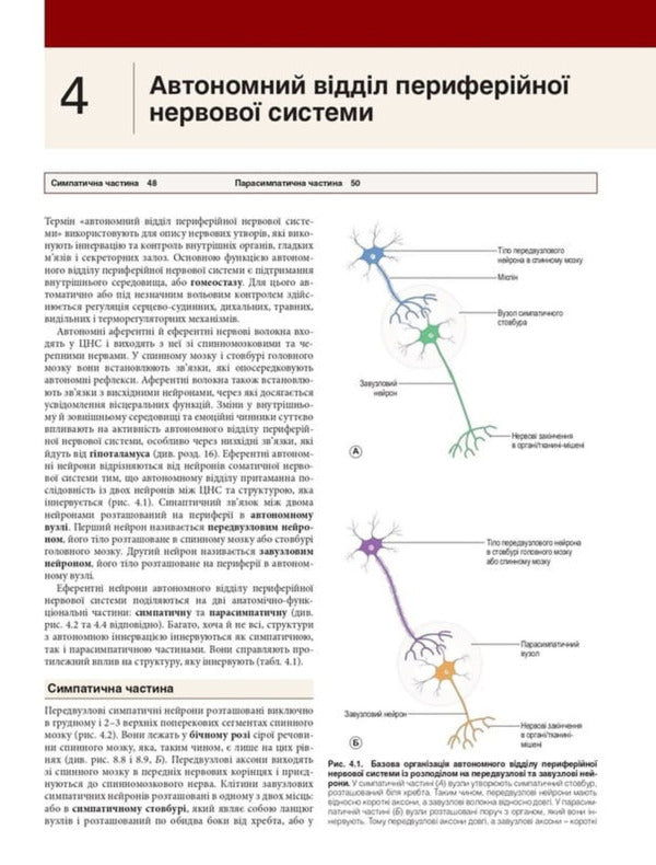 Neuroanatomy / Нейроанатомія Alan R. Crossman / Алан Р. Кроссман 9786178347086-5