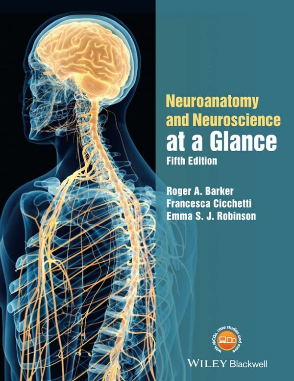 Neuroanatomy And Neuroscience At A Glance Emma S. J. Robinson, Francesca Cicchetti, Roger A. Barker / Эмма С. Дж. Робинсон, Франческа Чиккетти, Роджер А. Баркер 9781119168416-1