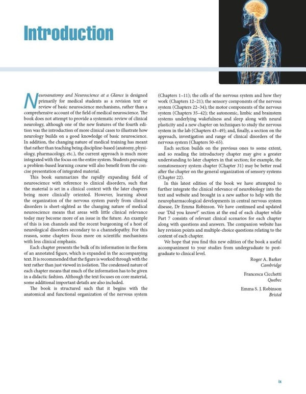 Neuroanatomy And Neuroscience At A Glance Emma S. J. Robinson, Francesca Cicchetti, Roger A. Barker / Эмма С. Дж. Робинсон, Франческа Чиккетти, Роджер А. Баркер 9781119168416-5
